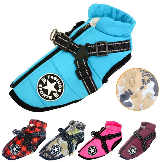 Large Dog Jacket with Harness